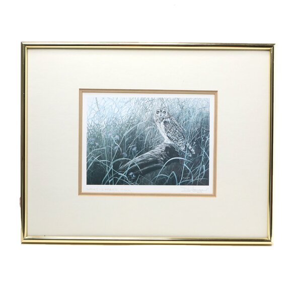 Vintage Don Li- Leger Short Eared Owl Framed Print 1986 Natural Art Artist BC - Picture 14 of 14